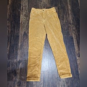 American Eagle, Size 2 Chestnut Corduroy Pants